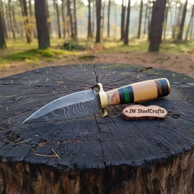 10 Damascus steel Hunting Knife with Olive wood handle