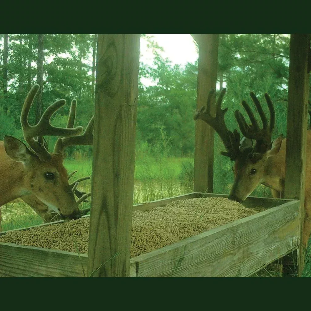 4S Advanced Wildlife Solutions 20% Premium Deer Pellets (PLUS) | High‑Protein Complete Ration | With H.E.A.T. Formula