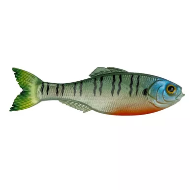 6th Sense Panorama 6.5 4K Bluegill
