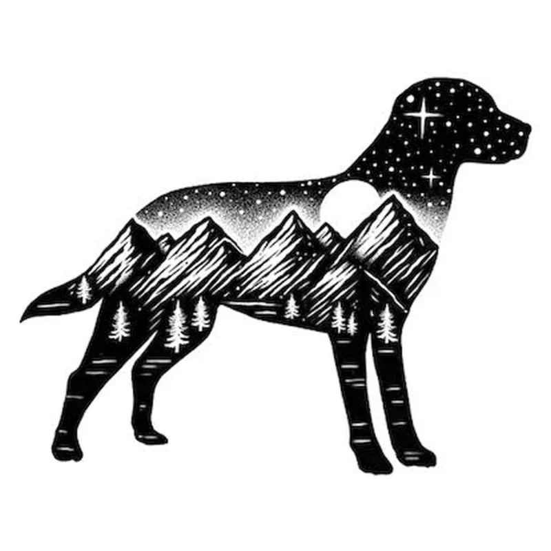 Adventure Dog