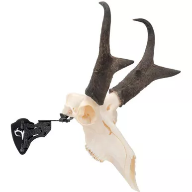 Allen Company 7203 EZ Mount Skull Stand for Deer Size Game, Wood