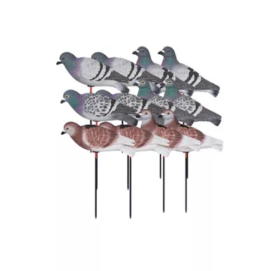AVERY 12-Pack Hunter Series Full Body Pigeon Decoys (72240)