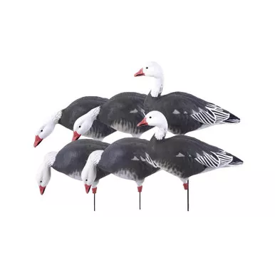 AVERY 6-Pack Pro-Grade Full Body Blue Goose Harvester Decoys (71202)