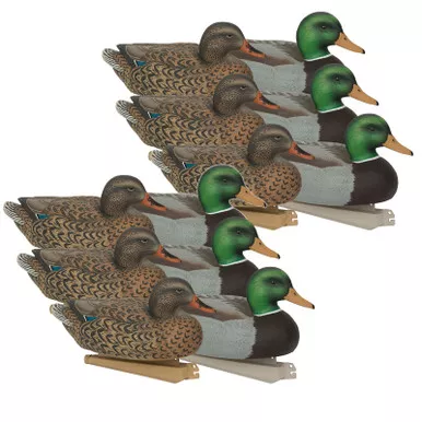 AVERY Essential Series Mallards, 12-Pack (70010)