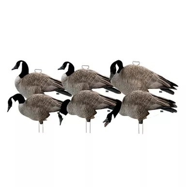 Avery GHG Pro-Grade Silhouette Canada Goose Decoys 6 Count