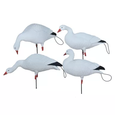 AVERY Pro-Flex Full Body Snow Harvester Pack, Dozen (72502)