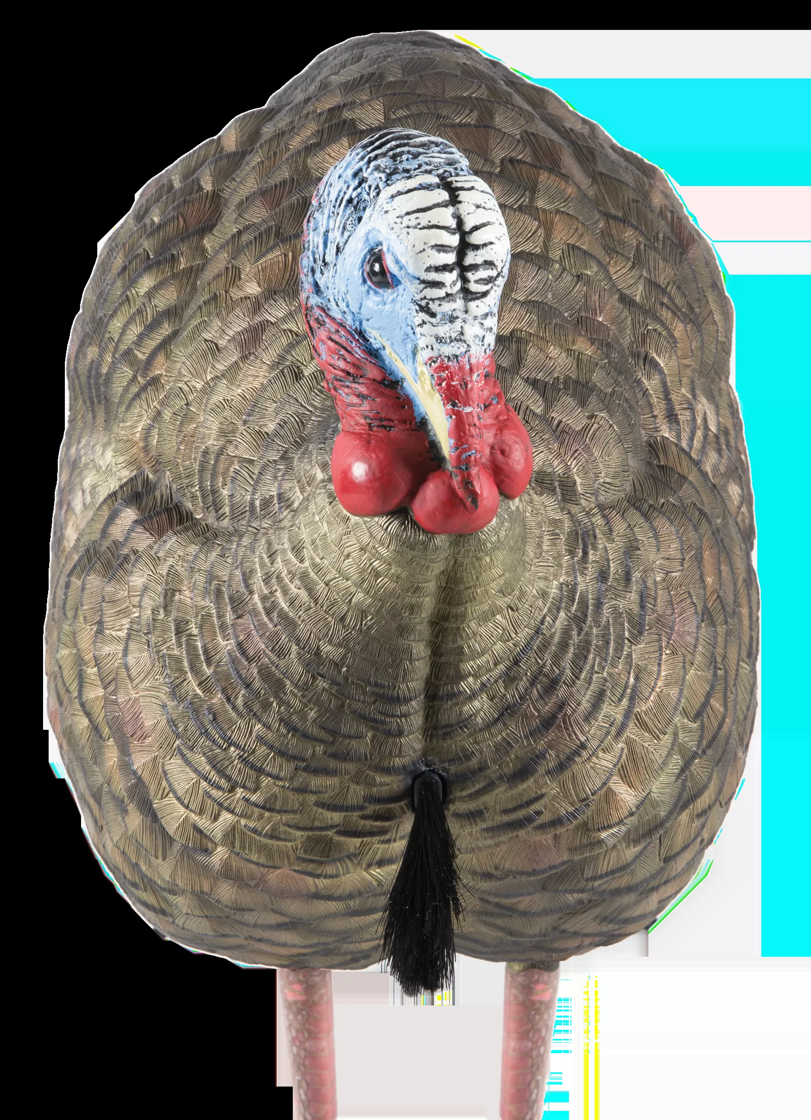 Avian LCD Half-Strut Jake Turkey Species Multi Color