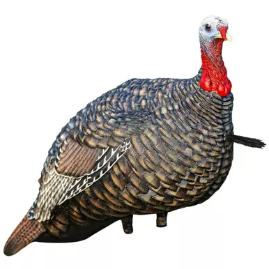 Avian-X AVX-AVX8003 Quarter Strut Jake Turkey Decoy, Black