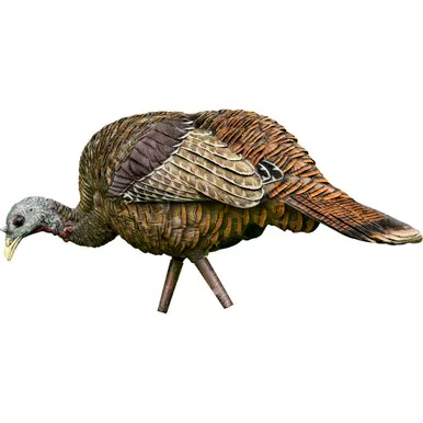 Avian-X AVX-AVX8007 Avian X Feeder Turkey Decoy, Black