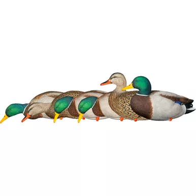Avian-X AVX-AVX8061 AXP Fusion Duck Decoys Mallards, Multicolor, 6 Pack