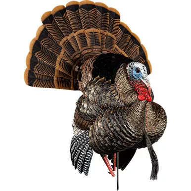 Avian-X AVX-AVX8108 Avian X HDR Strutter Turkey Decoy, Multicolor