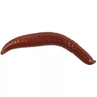 Berkley Gulp! Alive! Floating Pinched Crawlers