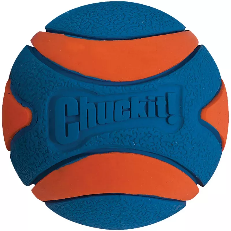 CHUCKIT! Ultra Squeaker Large Dog Toy for Active Chewers