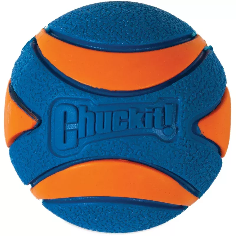 Chuckit! Ultra Squeaker Medium Dog Toy for Interactive Play