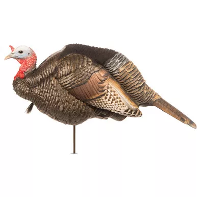 Dave Smith Decoys JAK 3/4 Strut Jake Decoy, Black