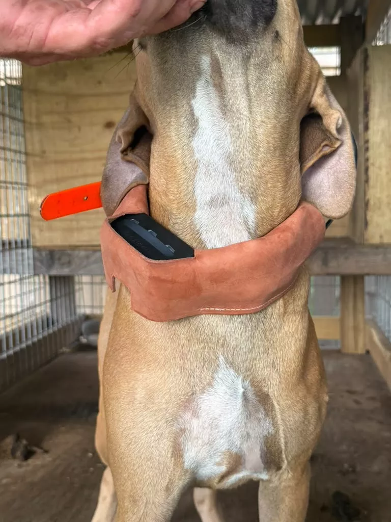 Driftin Outdoors Leather Collar Cover | Model Full TT15, Full TT25 & Half Collar | Hunting Dog Accessory | For Garmin Tracking Collars