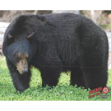 DuraMesh DM202 Archery Target Black Bear, 25 x 32 Inches, Black