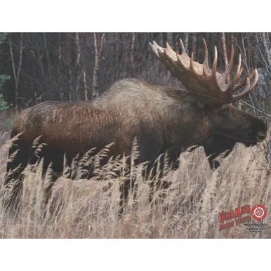 DuraMesh DM214 Archery Target Moose, 25 x 32 Inches, Brown