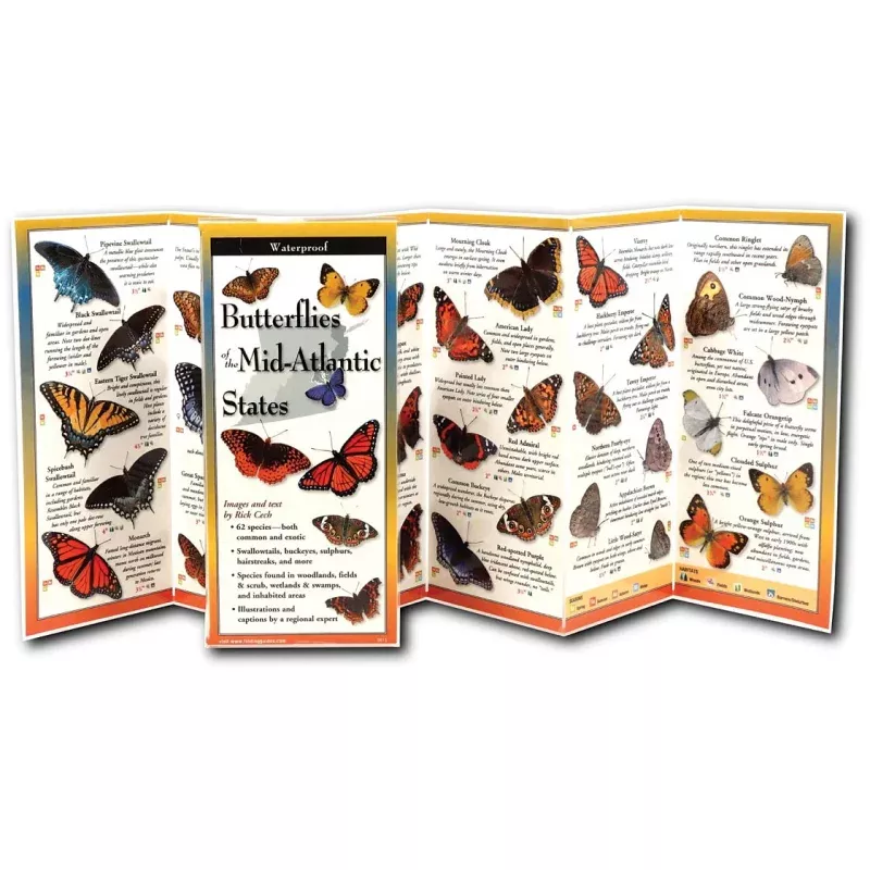 Earth Sky+Water Butterflies Mid Atlantic Guide