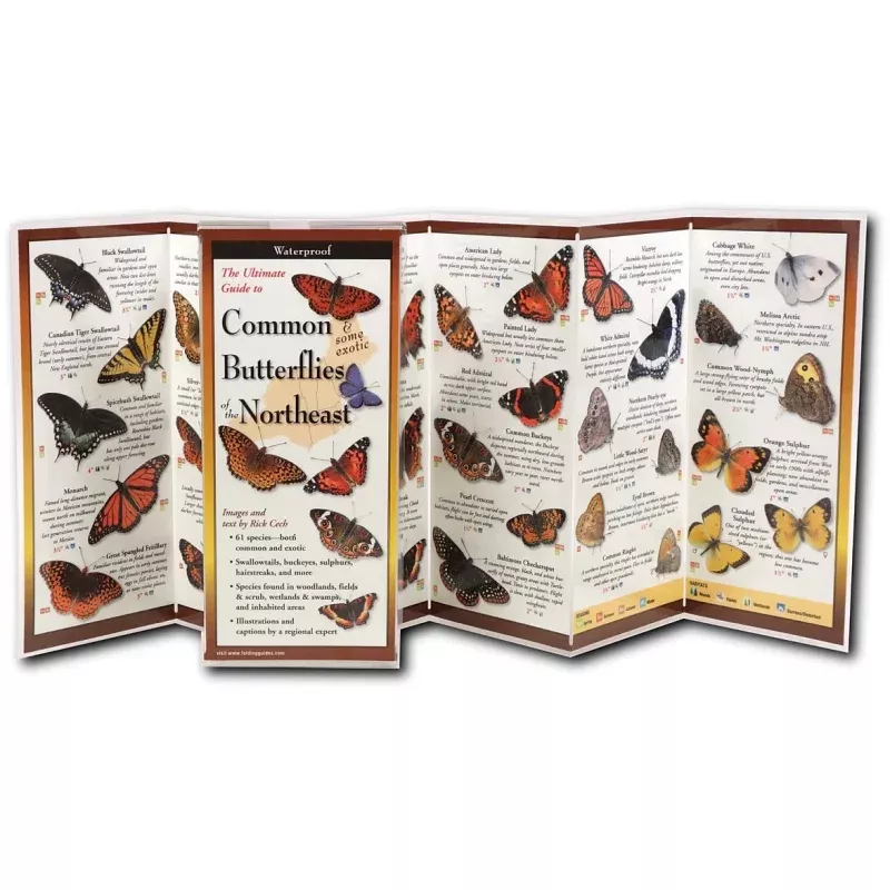 Earth Sky+Water Butterflies Northeast Guide – Comprehensive Identification Book