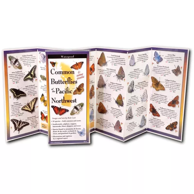 Earth Sky+Water Butterflies Northwest Guide