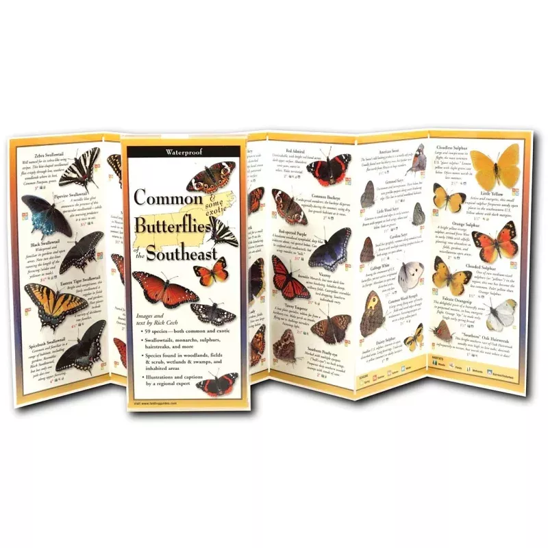 Earth Sky+Water Butterflies Southeast Guide