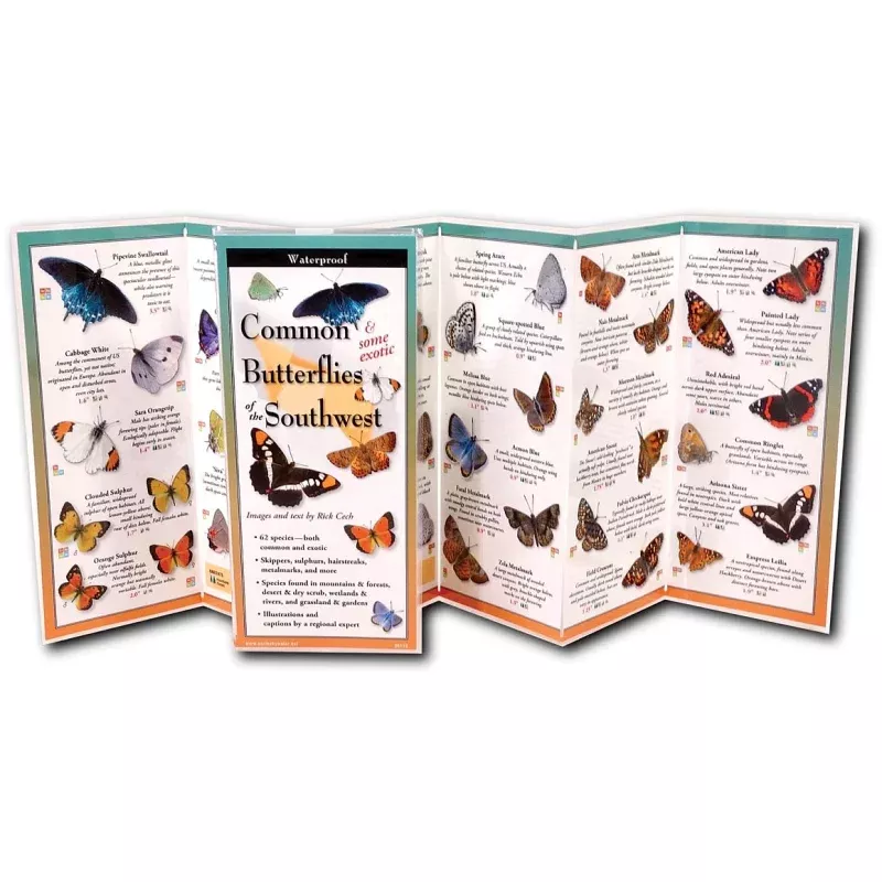 Earth Sky+Water Butterflies Southwest Guide