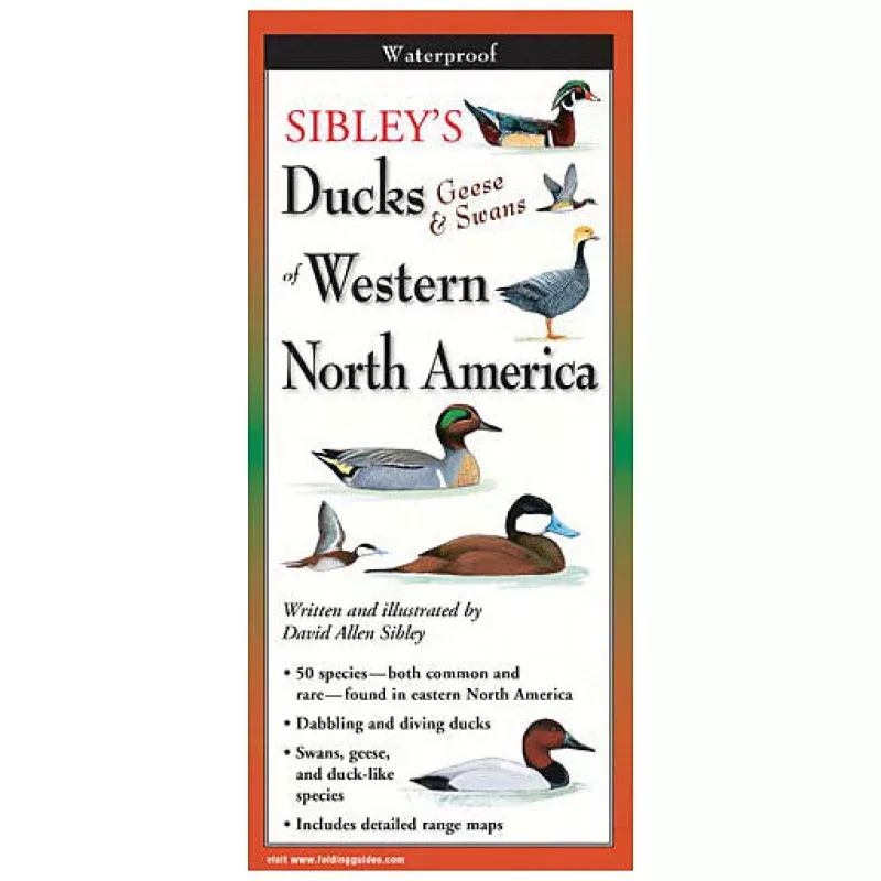 Earth Sky+Water Sibley’s Ducks, Geese & Swan West – Bird Identification Chart