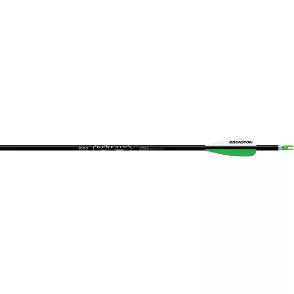 Easton Genesis Arrows 3 In. Vanes Silver 6 Pk.