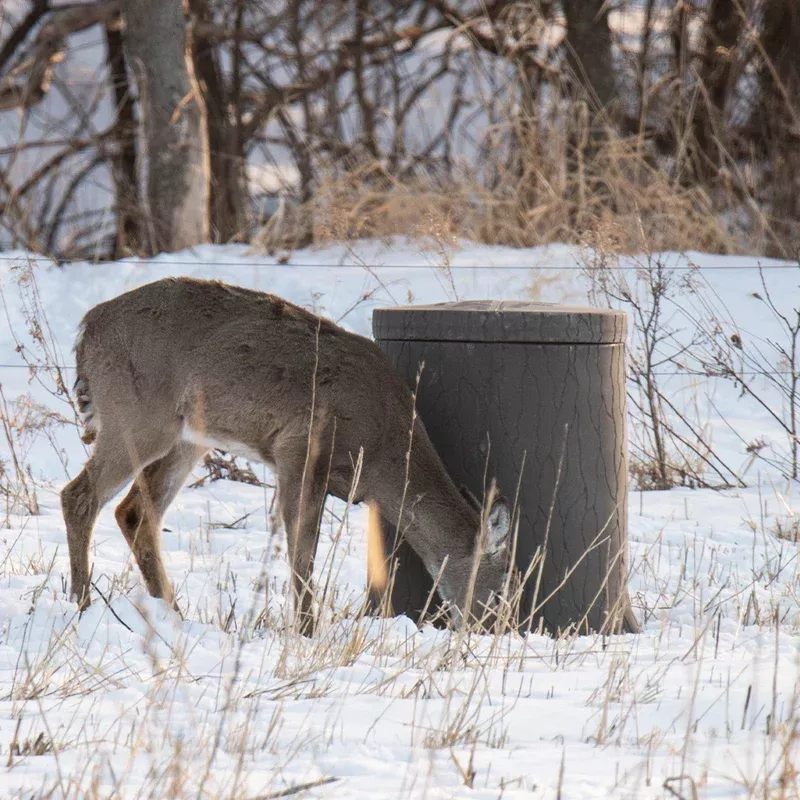 EGC Traps Feedbank Timber 250 | Model FBTIM250 | Capacity 250‑lb | Ground‑Style Wildlife Feeder | 4 Feed Ports | For Deer & Game Feeding System