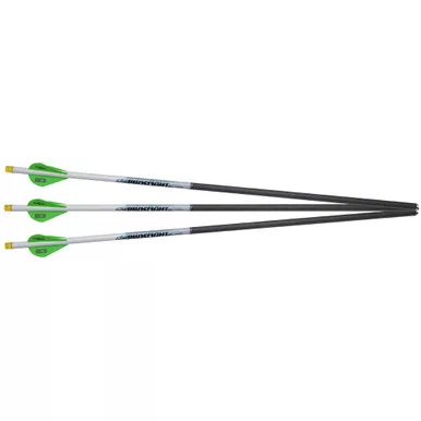 Excalibur 22EXP20IL-3 ProFlight Illuminated Crossbow Bolts, 20 Inches, Black, 3 Pack