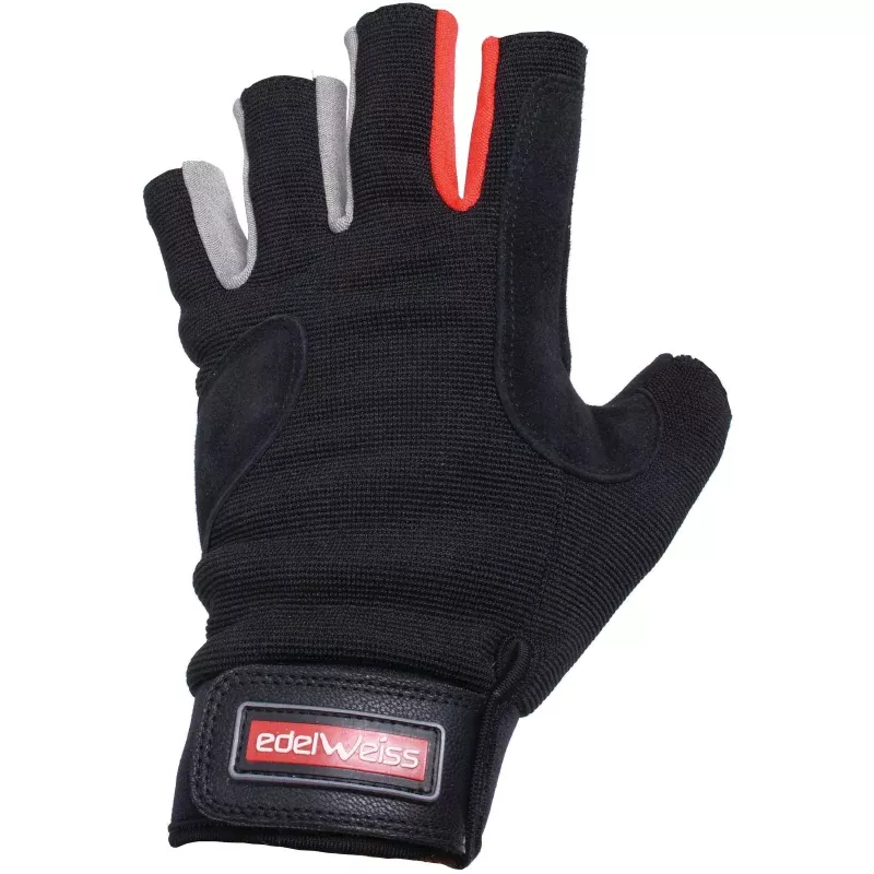 Five Fingerless Glove L