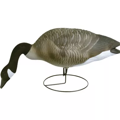 Flambeau 8990FBU Field Pack Canada Goose Decoy, Black, 6 Pack