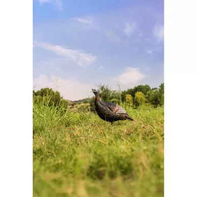 Flextone FLX-FLXDY317 Thunder Jake Turkey Decoy, Brown