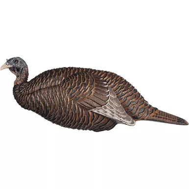 Flextone FLX-FLXDY331 Thunder Chick Breeder Decoy, Brown