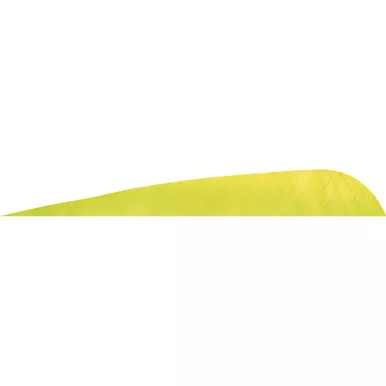 Gateway 400LPSLL-50 Parabolic Feathers Lemon Lime 4 Inches, LW Green, 50 Pack