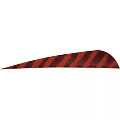 Gateway Barred Feathers 4 Inches, RW, 50 Pack