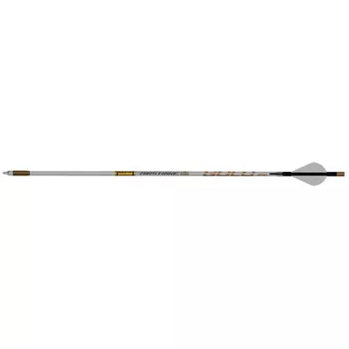 Gold Tip AS250A26 AirStrike Arrows 250 Raptor Vanes White, 6 Pack
