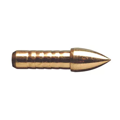 Gold Tip GLU24610012 Glue In Points .246 100 Grain, Silver, 12 Pack