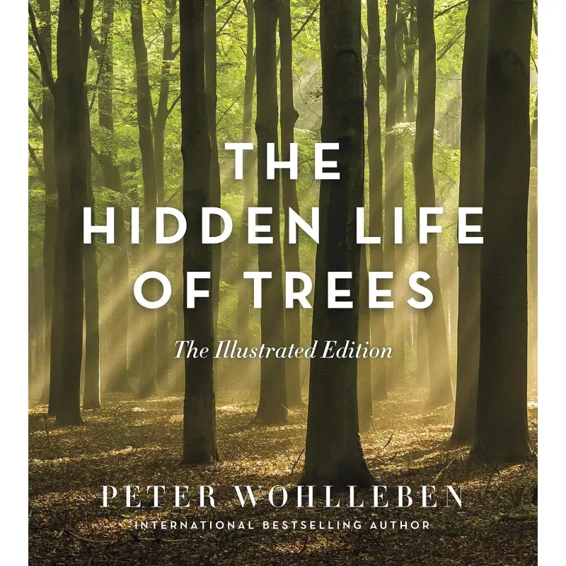 GREYSTONE BOOKS Hidden Life of Trees – Insightful Exploration of Forest Ecosystems