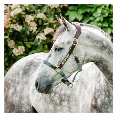 HORSEWARE IRELAND Horseware Signature Braided Headcollar (DHHMM0)