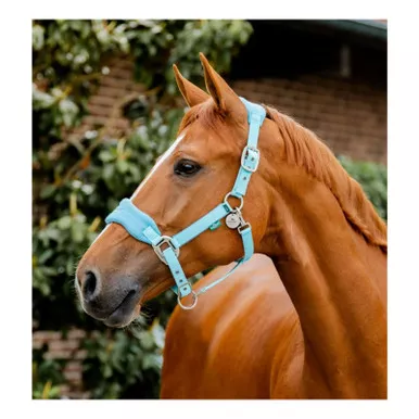 HORSEWARE IRELAND Signature Grooming Halter (DHHAM0)