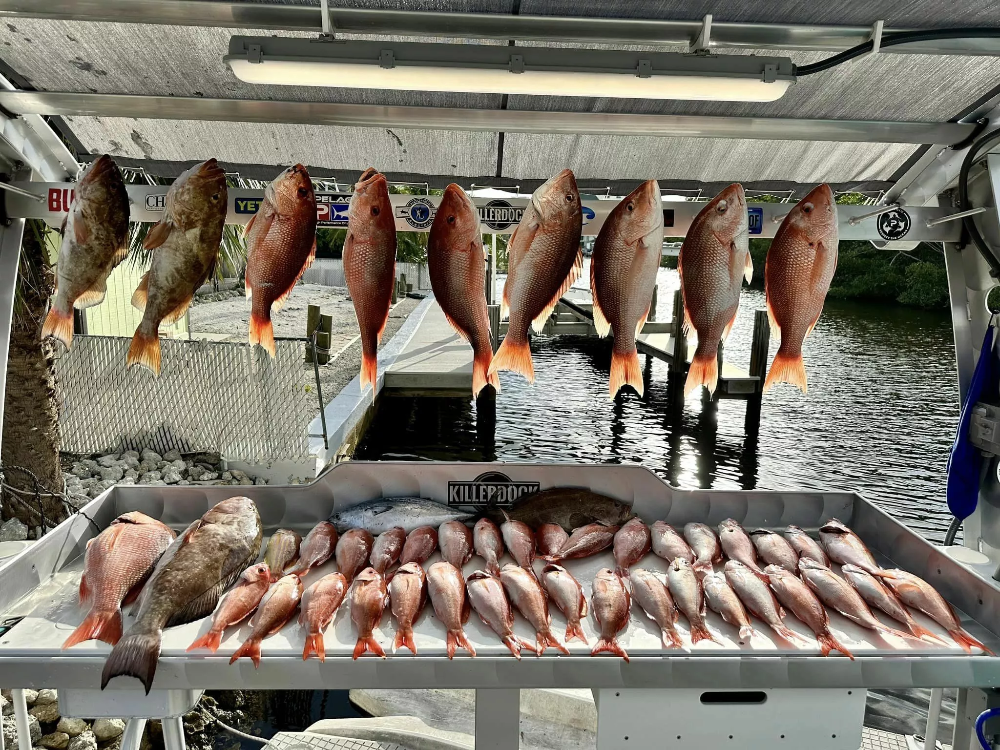 Killer Dock Fish Hanger | Slam Sizes 4.5″–7.5″ | Bolt-On Display | For Dock, Seawall, Deck & Patio