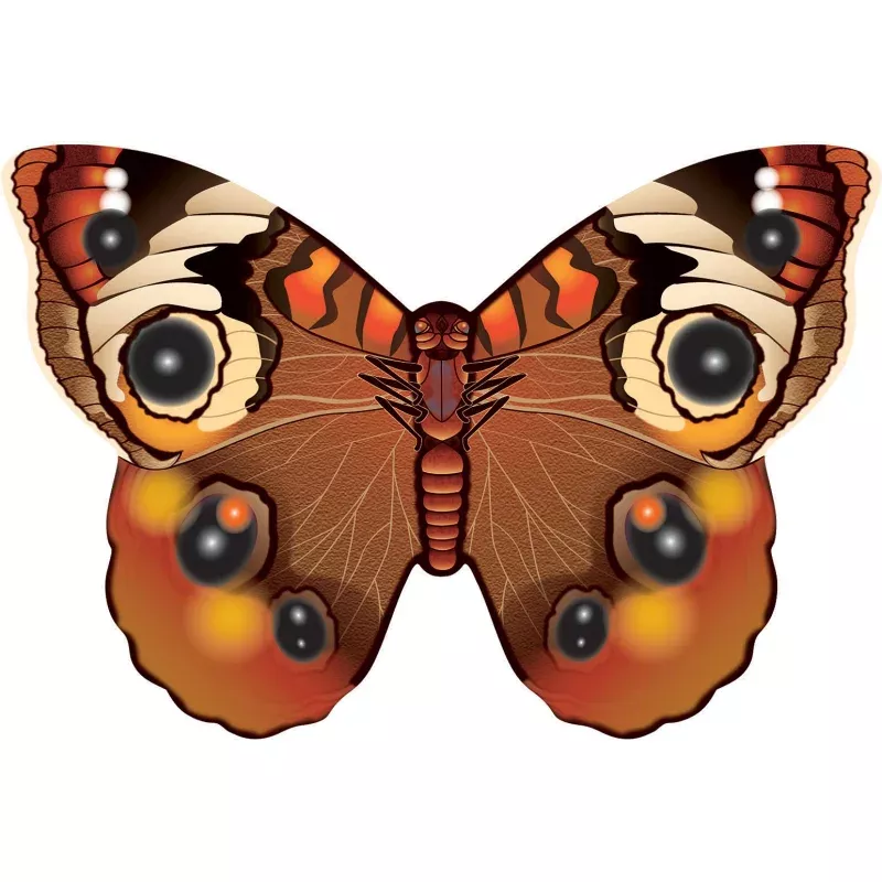 Microbutterfly Buckeye