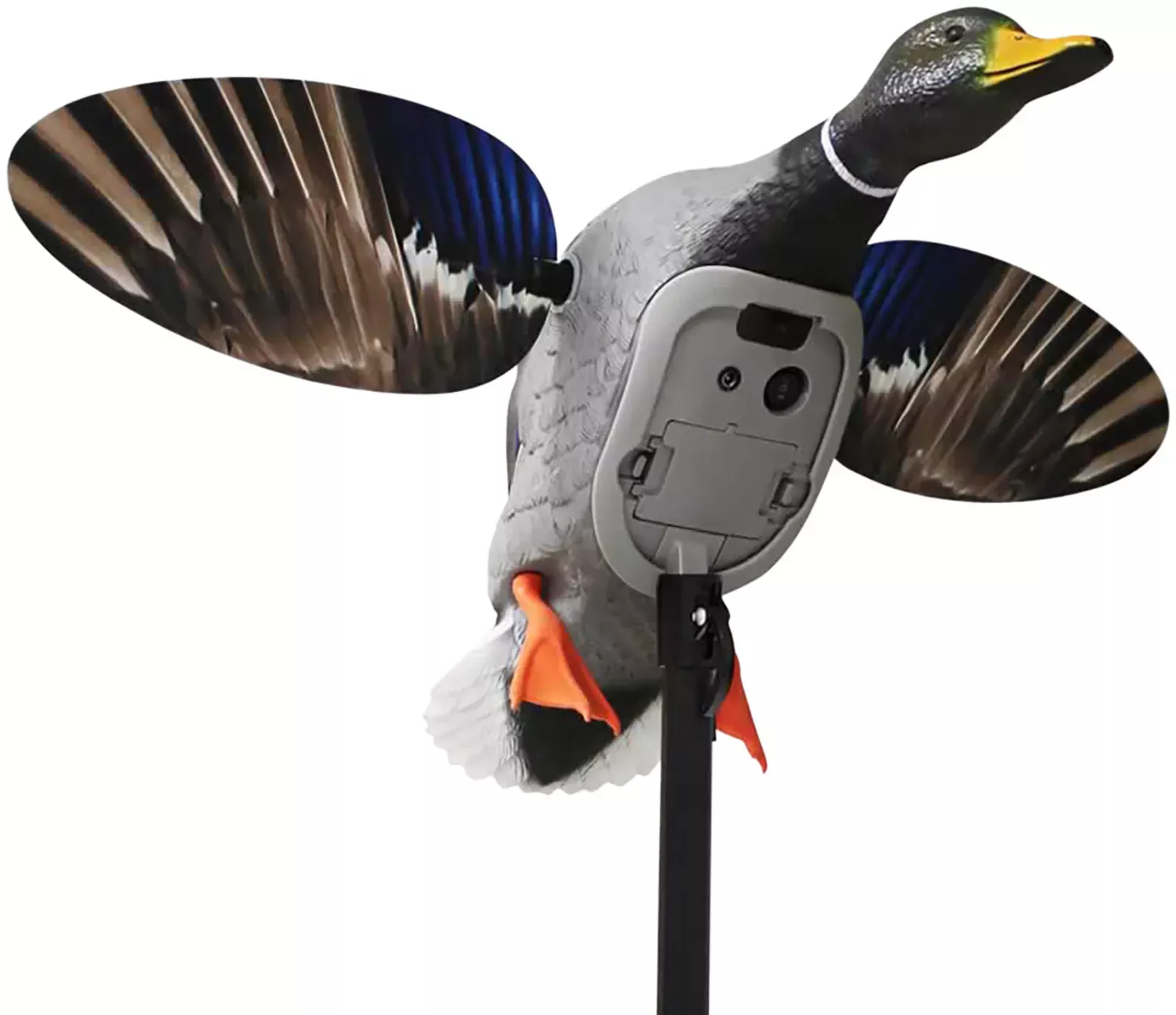 Mojo Outdoors MOJO Mallard Elite Mallards Species Multi Color Plastic