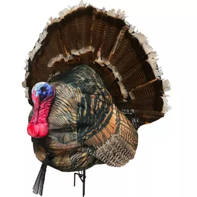Montana Decoy 0044 Wiley Tom 3D Hybrid Strutter Turkey Decoy, Multicolor