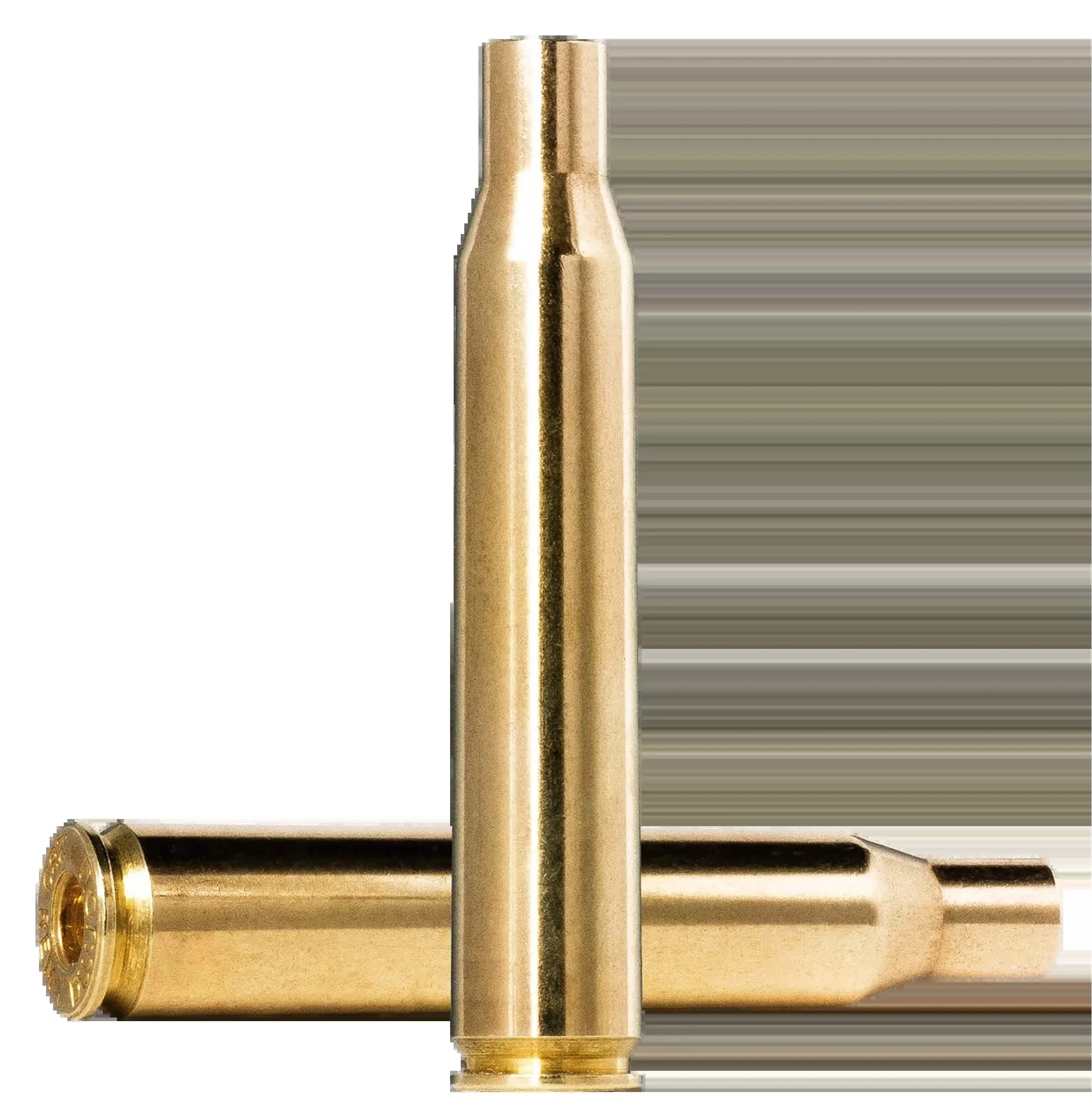 Norma Ammunition (ruag) Dedicated Components, Norma 20275117 7.5×55 SwissBrass 50/10