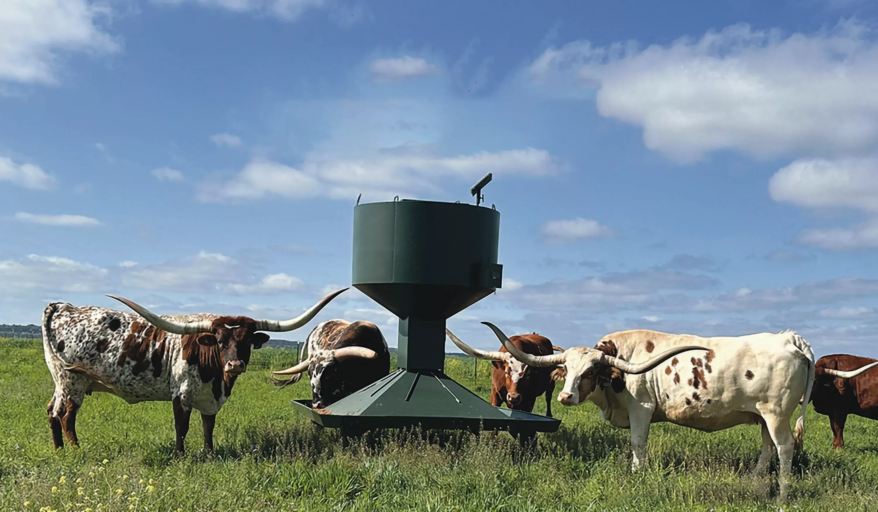 Outback Wildlife Feeders Longhorn Series | Automated Cattle Feeder | Model 1000#, 2000# & 3000# | Height 7', 8'4" & 10'|For Up To 3/8” Pellets