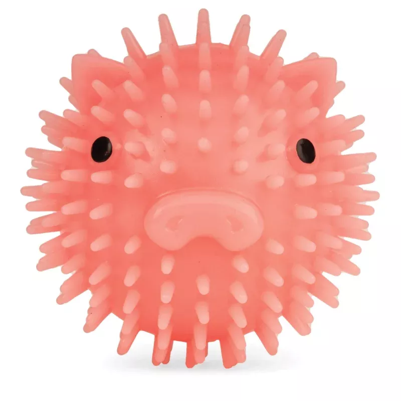 Piggy Dog Ball