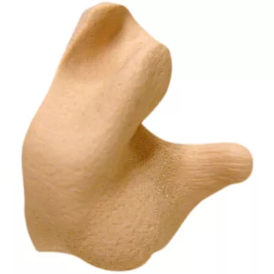 Radians CEP002-T Custom Molded Earplugs Retail Box, Tan, 1 Pack